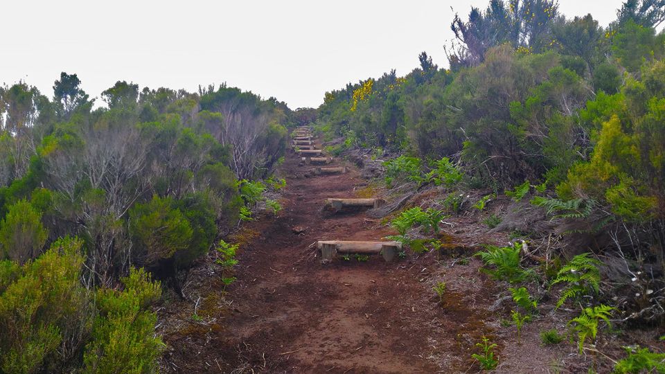 Fanal / Whistlers - Levada Walk - Included in the Tour