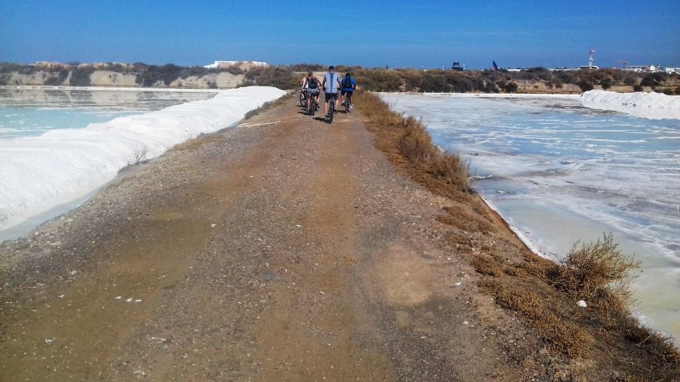 Faro Bike Tour Through the Beautiful Ria Formosa - Birdwatching Opportunities