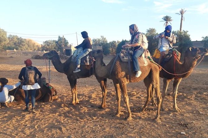 Fes Desert Tours 2 Days - Camel Ride Experience