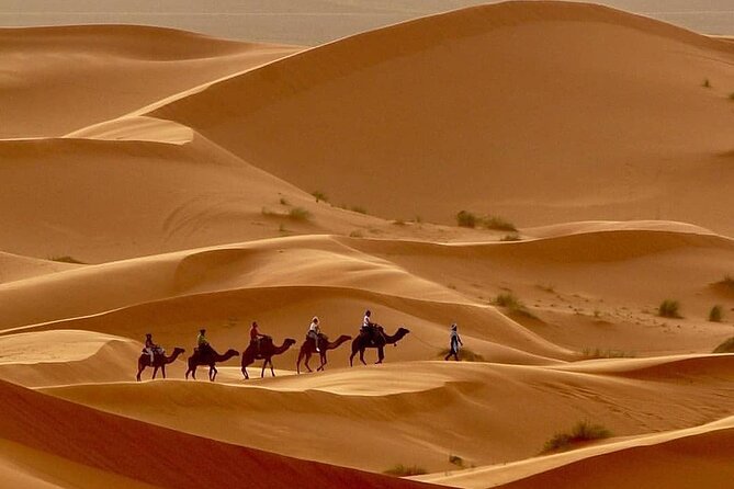 Fes To Marrakech: 3-Day Desert Tour - Panoramic Views of the Sahara