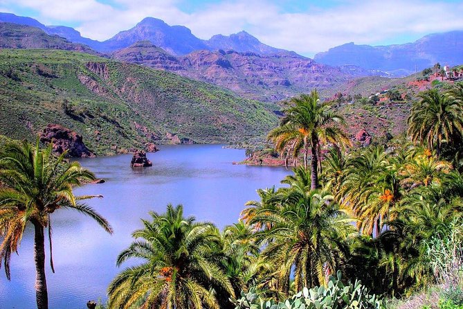 Firgas, Tejeda, Guayadeque - VIP Tour Gran Canaria - Tour Details