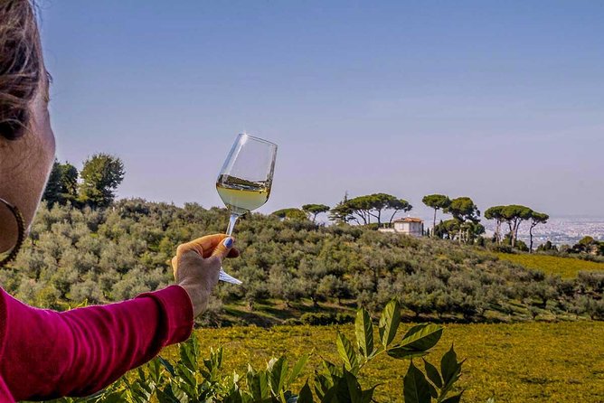 Frascati Wine Tasting Tour: The Flavors of the Roman Countryside - Red Vagnolo IGT Tasting