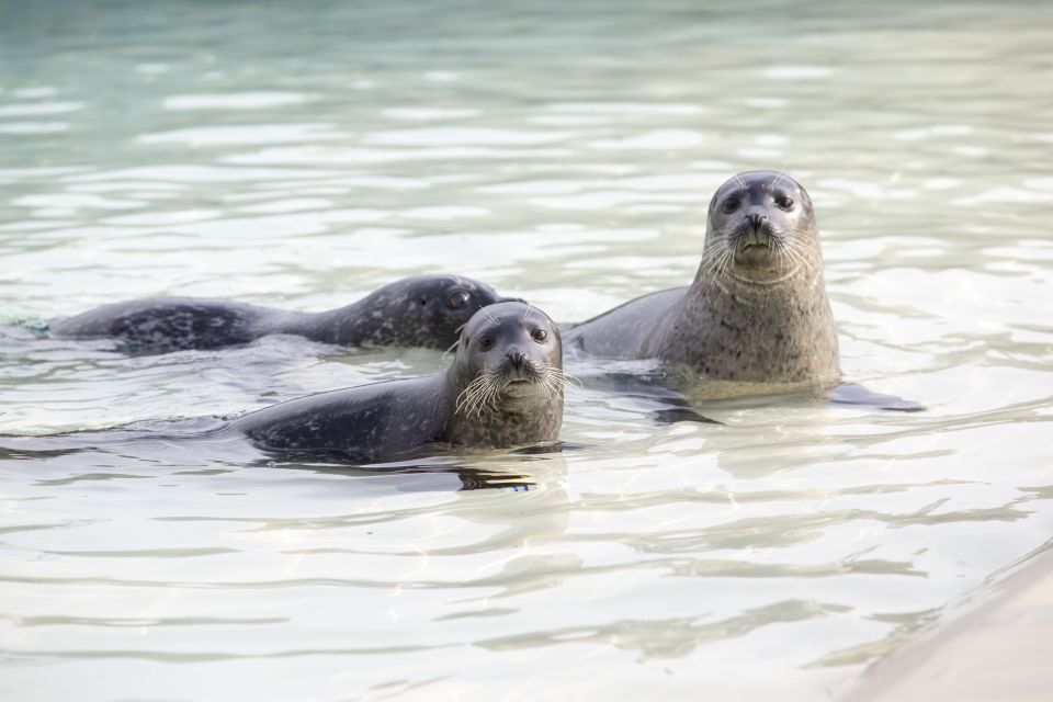 French Riviera: Marineland Entrance Ticket - Entrance Ticket and Parking Included