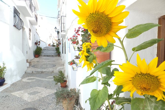 Frigiliana Small-Group Hike and Wine Tasting Tour From Malaga - Operated by Málaga Activa Tours