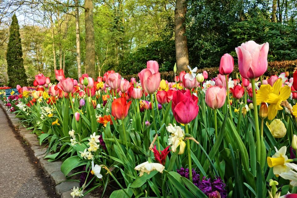 From Amsterdam: Keukenhof Gardens and Giethoorn Tour - Tulip Experience