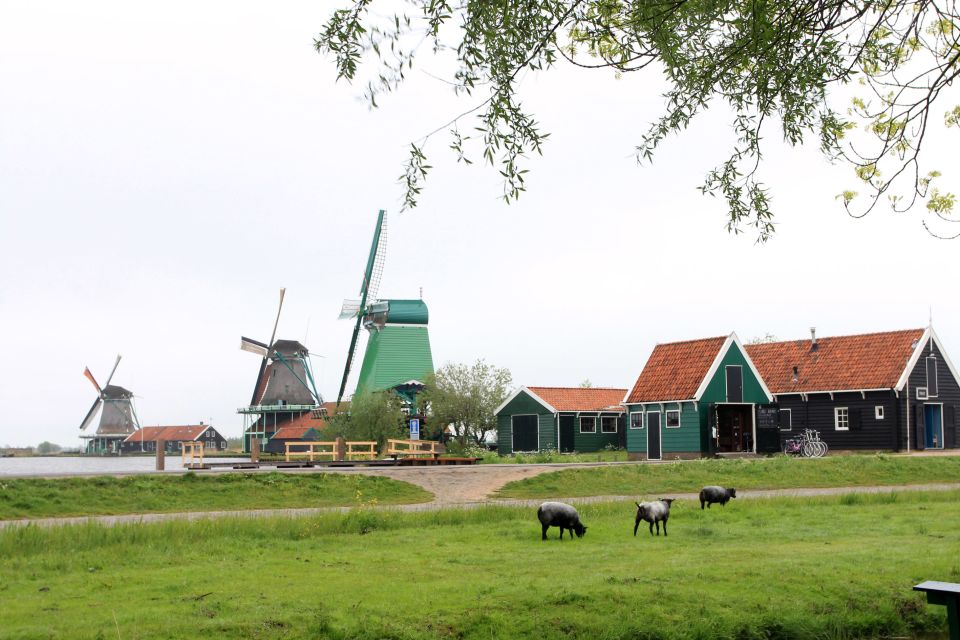 From Amsterdam: Windmills of Zaanse Schans Tour in Spanish - Historical Context of Zaanse Schans