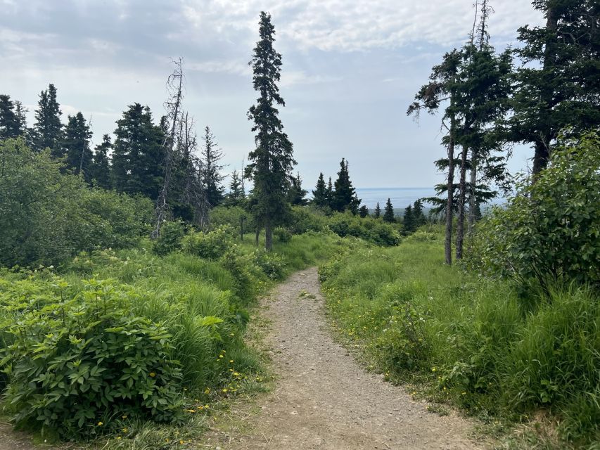 From Anchorage: Chugach State Park Walk With Naturalist - Learn From Naturalist Guide