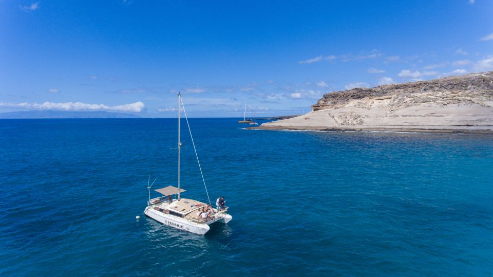 From Costa Adeje: Private Catamaran Tour With Snorkeling - Snorkeling and Marine Life