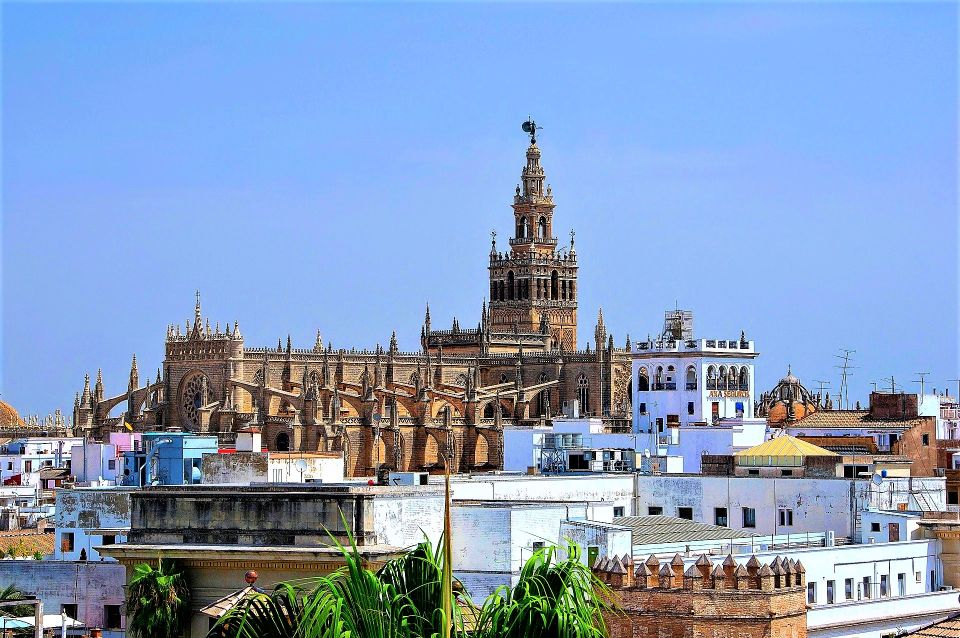 From Costa Del Sol: Seville and Royal Alcázar Palace - Highlights of the Tour