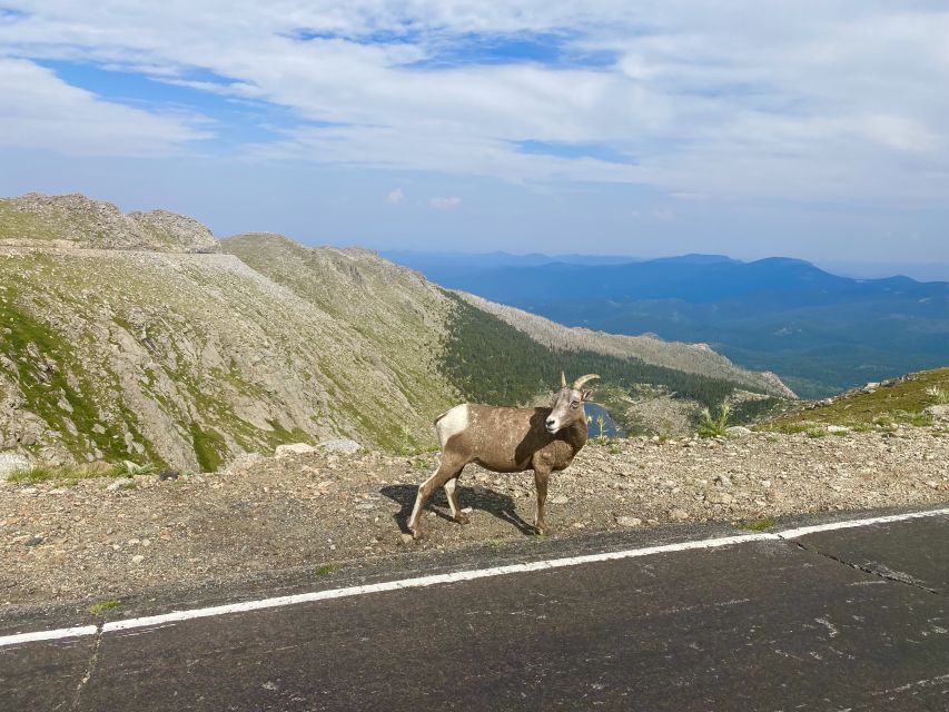 From Denver: Pikes Peak and Garden of the Gods Guided Tour - Inclusions