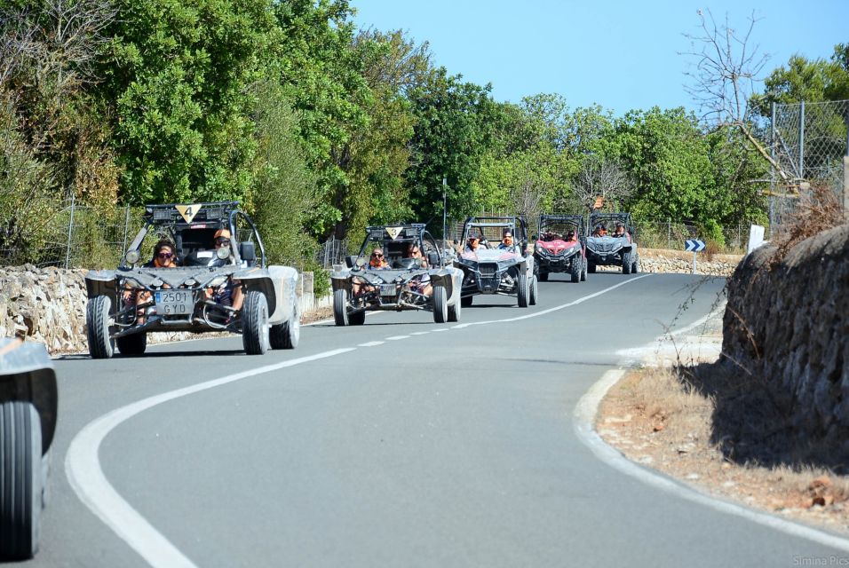 From East Mallorca: Guided Beach and Mountain Buggy Tour - Accessibility Details