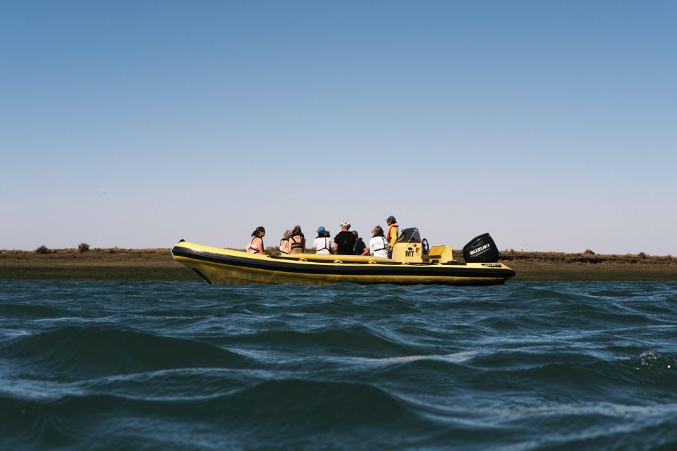 From Faro: Ria Formosa Eco Tour Guided by Marine Biologist - Important Information