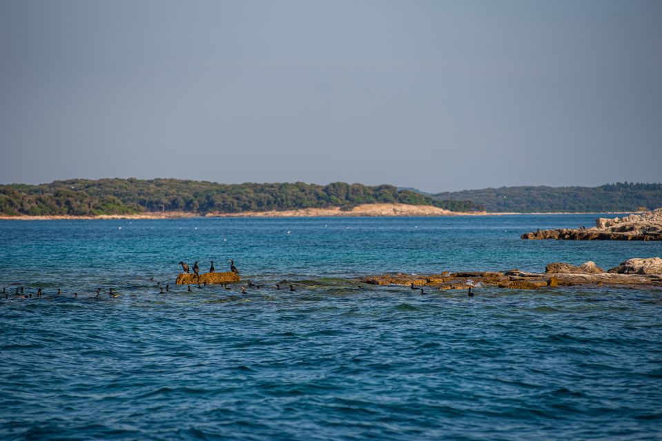 From Fažana: Private Boat Tour of Brijuni Islands - Island Activities on Veliki Brijun