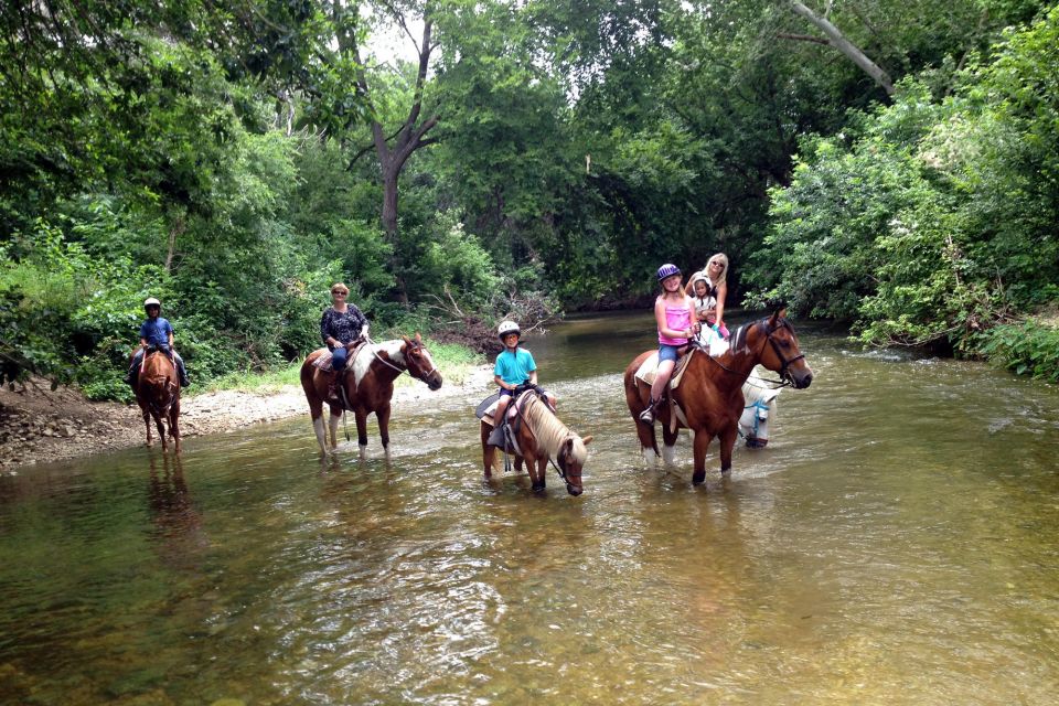 From Fethiye: Horse Riding Adventure - Recap