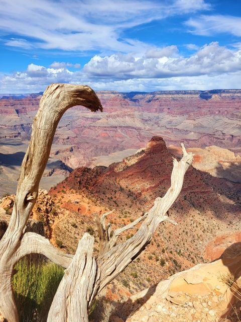 From Flagstaff: Private Grand Canyon National Park Tour - Experienced, Professional Tour Guide