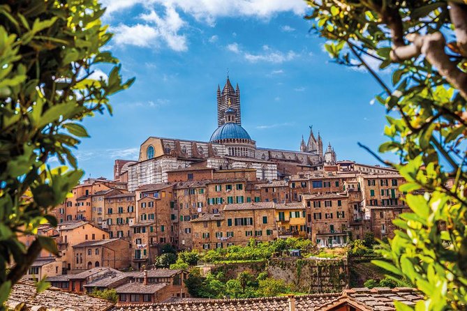 From Florence: San Gimignano, Siena, and Chianti Wine Tour - Wine Tasting Experience