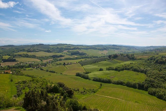 From Florence: Small-Group Tuscany Wine & Oil Tour With Typical Tuscan Meal - Confirmation and Refund