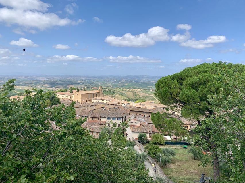 From Florence: Trip to San Gimignano, Volterra and Bolgheri - Visiting Bolgheris Renowned Vineyards