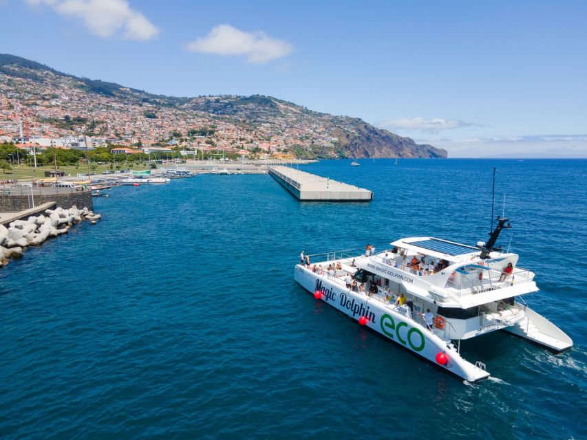 From Funchal: Ecological Catamaran Dolphin Whale Watching - Onboard Amenities