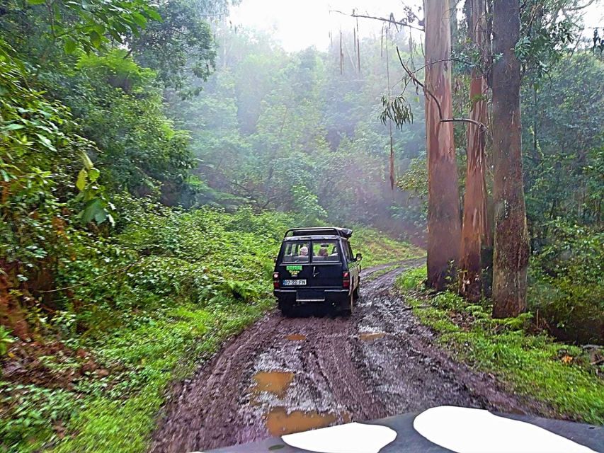 From Funchal: Full-Day Jeep Safari Tour - Suitable for Small Groups