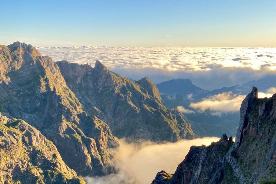 From Funchal: Pico Do Arieiro to Pico Ruivo Sunrise Hike - Wildlife Sightings