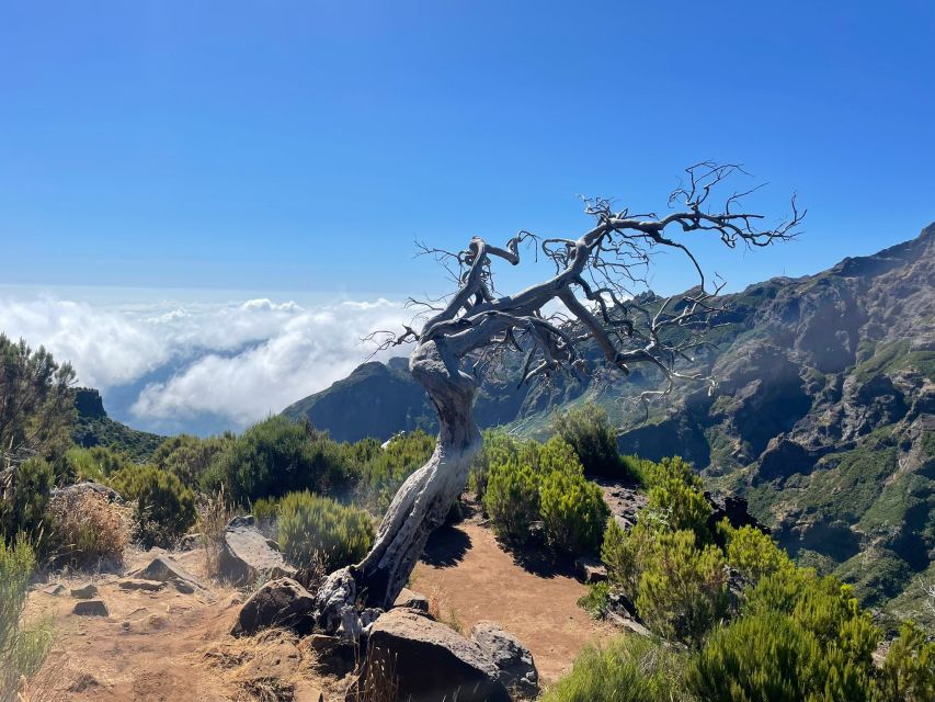 From Funchal: Transfer to Pico Do Arieiro & Pico Ruivo Trail - Experience Highlights