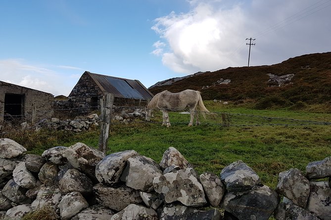 From Galway: Guided Tour of Connemara With 3 Hour Stop in Kylemore Abbey - Tour Inclusions