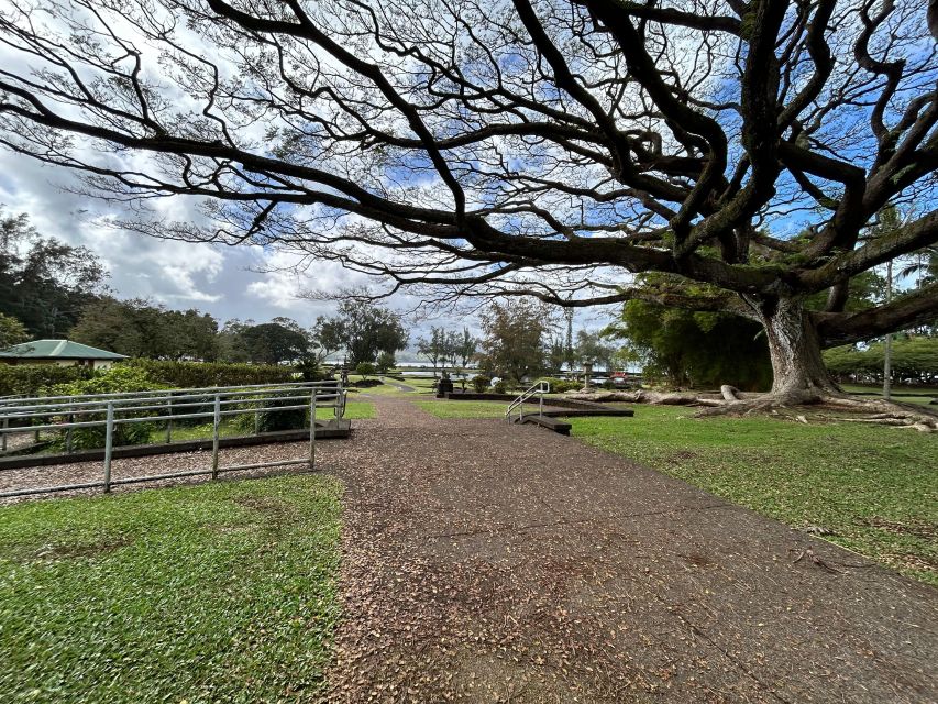 From Hilo: Hawaii Volcanoes National Park Tour - See the Kilauea Caldera Overlook