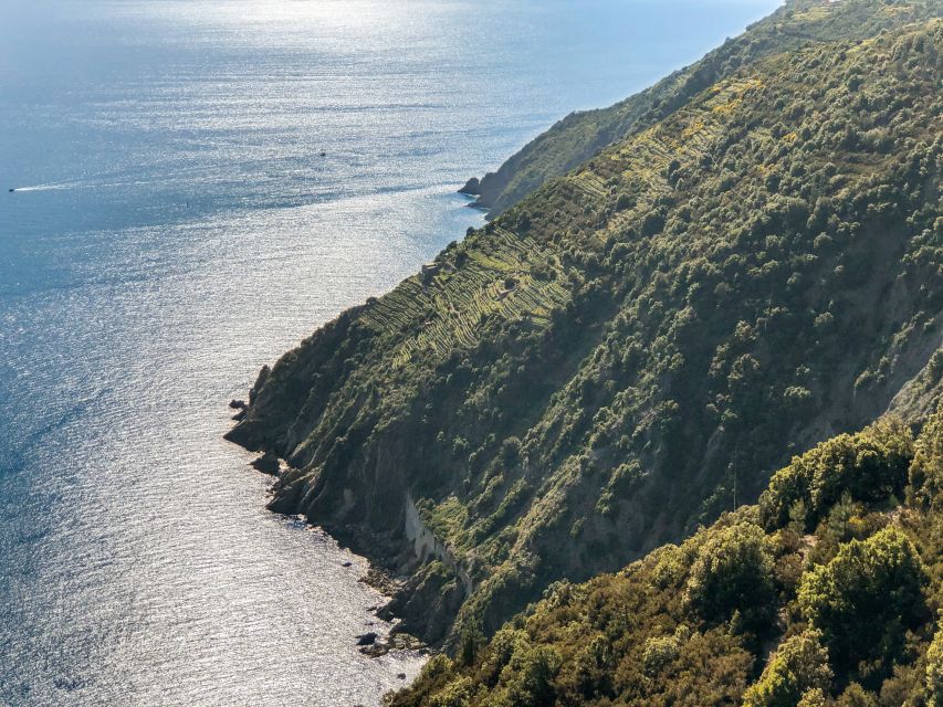 From La Spezia: Cinque Terre Boat Tour - Explore Portovenere