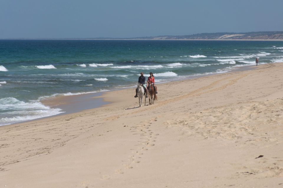 From Lisbon: Horseback Riding on Comporta Beach - Instructor Languages