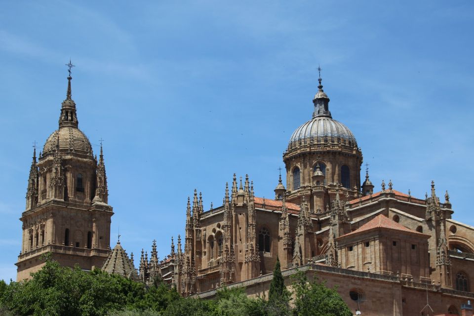 From Madrid: Day Trip to Salamanca With Private Tour - Chauffeur Service and Pickup/Drop-off