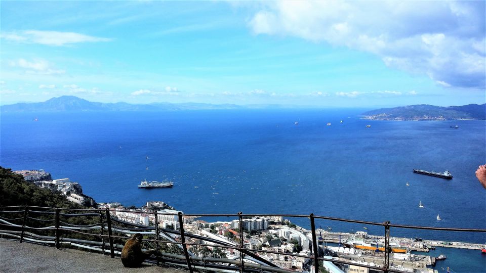 From Malaga or Marbella: Private Gibraltar Tour - Included