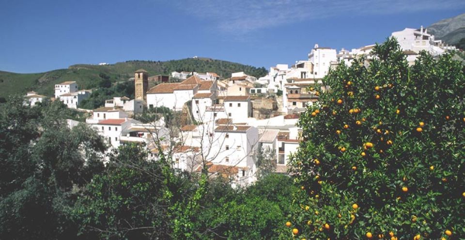 From Marbella: Axarquia Wine Tour With Wine Pairing Lunch - Gourmet Winery Lunch