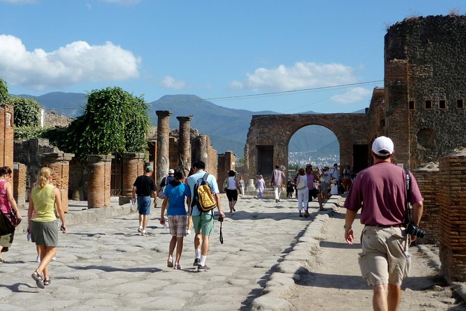 From Naples: Pompeii Shared Tour With Guide and Tickets Included - Accessibility and Additional Information