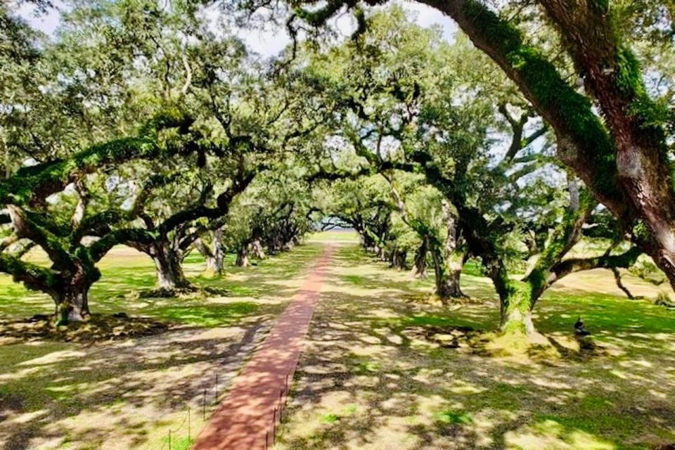 From New Orleans: Oak Alley or Laura Plantation Tour - Oak Alley Plantation Tour Details