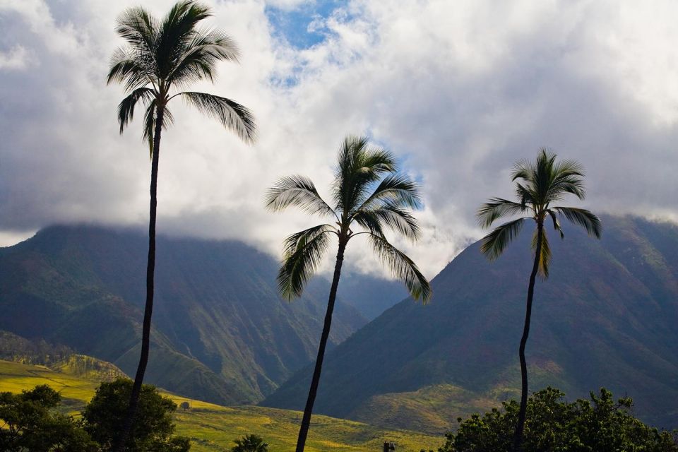 From Oahu: Maui Haleakala and Iao Valley Tour - Haleakala Visitor Center