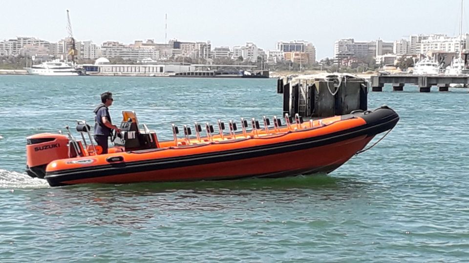 From Portimão: Benagil Caves and Beaches By Boat - Highlights and Experiences