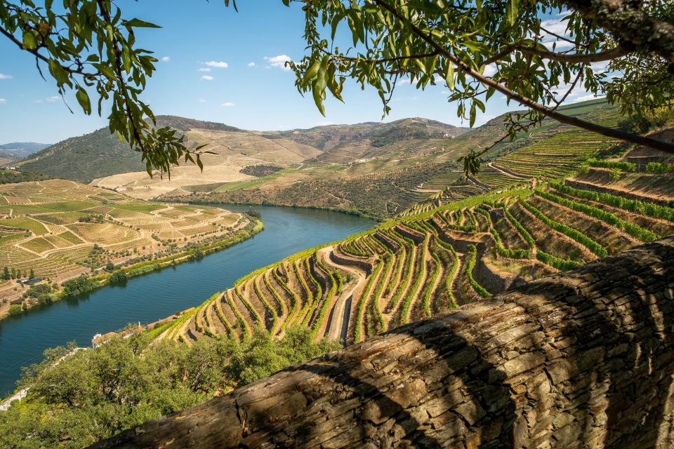 From Porto: Exclusive Douro Valley All-Inclusive Tour - Private Boat Cruise