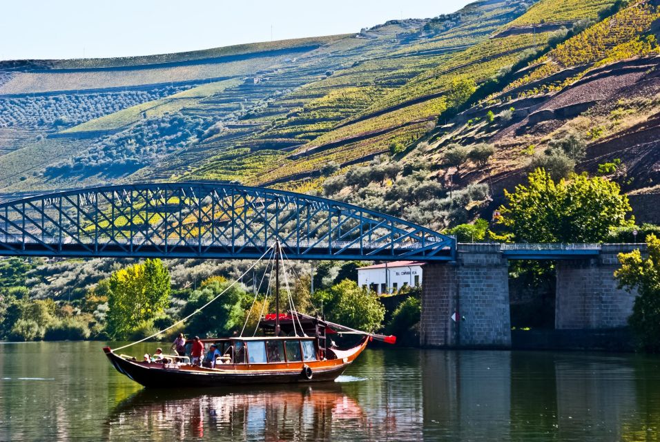 From Porto: Full-Day Douro Valley Trip and Port Wine Tasting - Guided Tours and Experiences