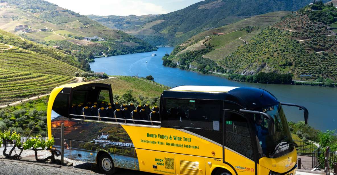 From Porto: Full-Day Douro Valley & Wine Tour With Lunch - Important Information