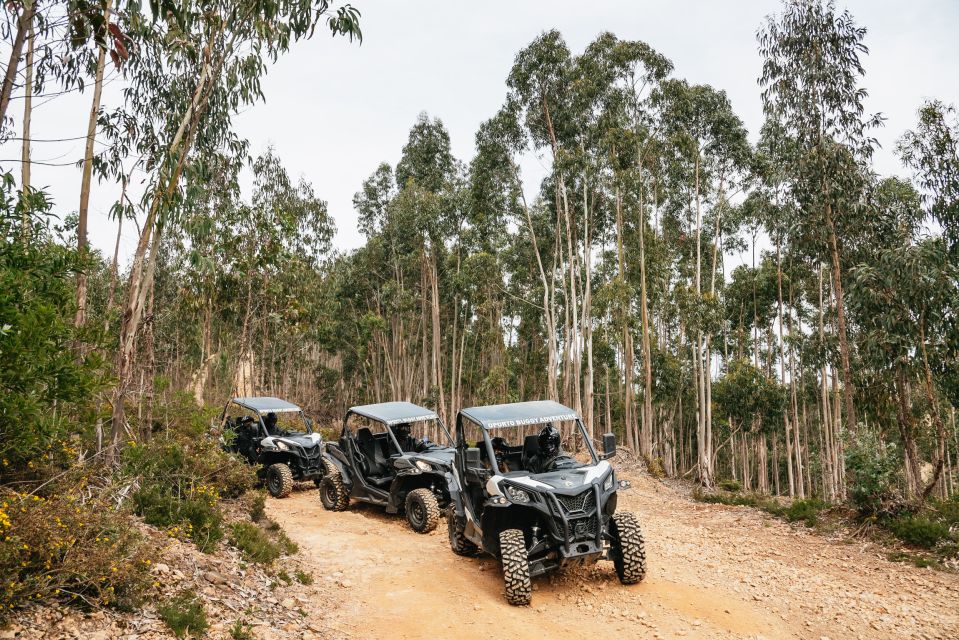 From Porto: Off-Road Buggy Adventure - Pickup Locations