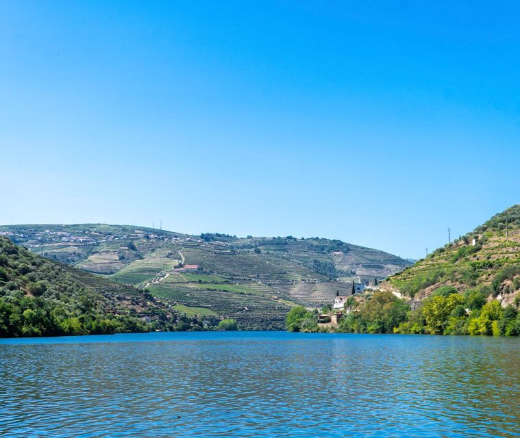 From Porto: Premium Douro Valley Small-Group Wine Tour - Exclusive Locations