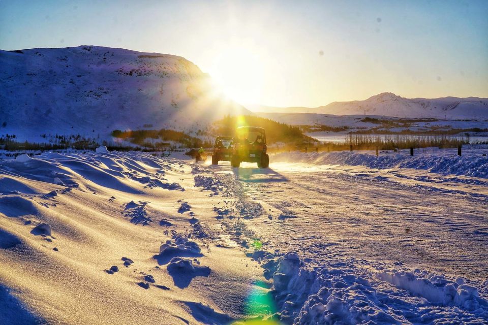 From Reykjavik: Buggy & Whale Watching Adventure - Pickup and Included Services