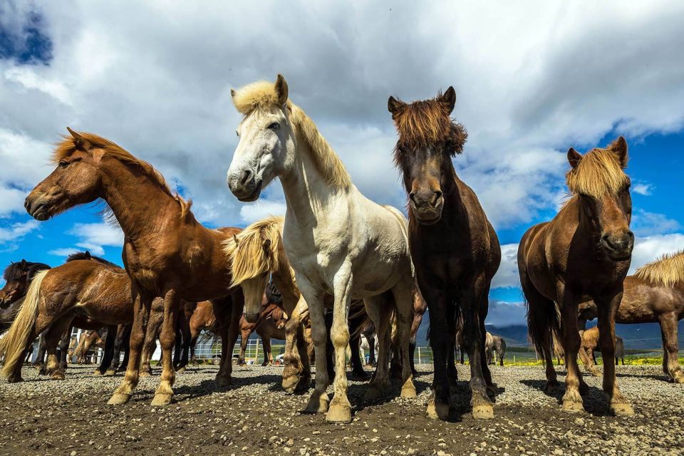 From Reykjavik: Full-Day Horse Riding & Golden Circle Tour - Exploring Gullfoss Waterfall