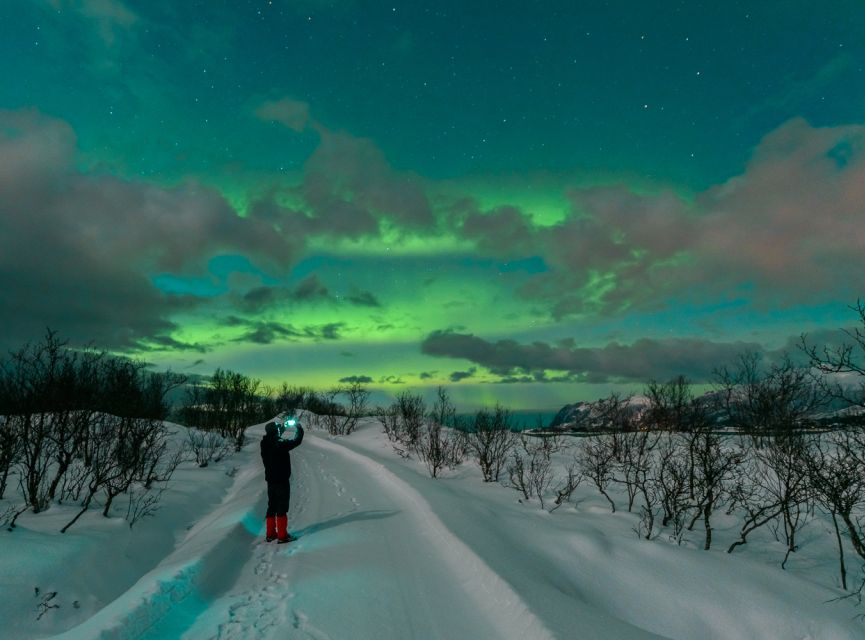 From Reykjavik: Northern Lights Tour - Tour Duration