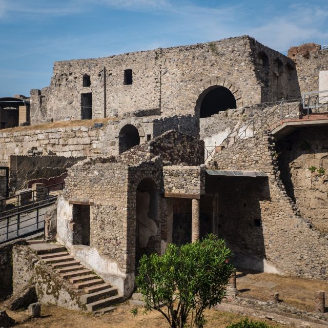 From Rome: Pompeii Private Full-Day Trip With Tour - Price