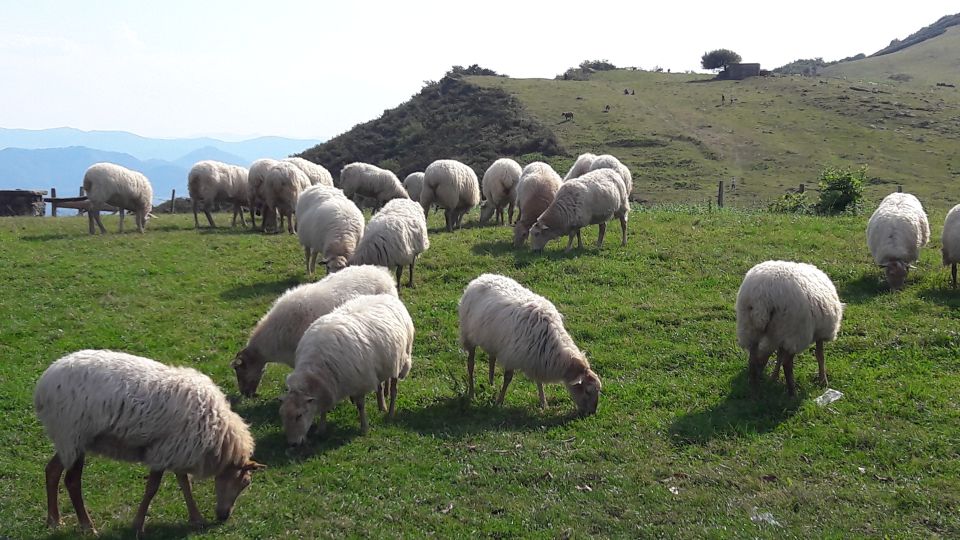 From San Sebastian: French-Basque Countryside Private Tour - Admiring Ainhoas Basque Architecture