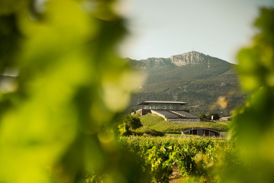 From San Sebastian: Rioja Uncorked - Private Wineries Trip - Family-Run Bodegas