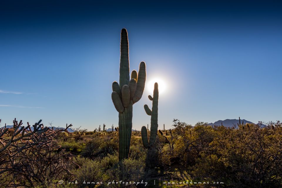 From Scottsdale: Sonoran Desert & Tonto National Forest Trip - Booking and Pricing Details