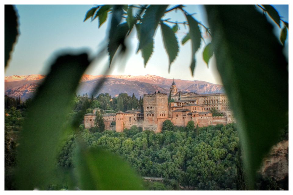 From Seville: Alhambra & Albaicín Private Tour - Nasrid Dynasty Mysteries